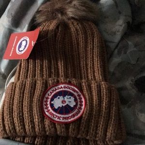 Hat Canada goose